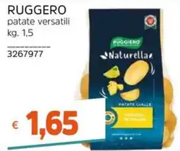 Stop&Shop Ruggiero patate versatili offerta