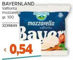 Stop&Shop Bavernland mozzarella valfiorita offerta