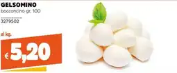 Stop&Shop Gelsomino bocconcino offerta