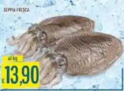 Mercadò Seppia fresca offerta
