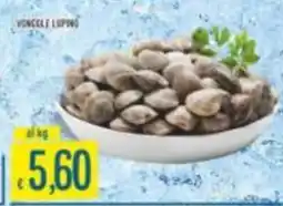 Mercadò Vongole lupine offerta