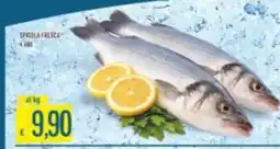 Mercadò Spigola fresca offerta