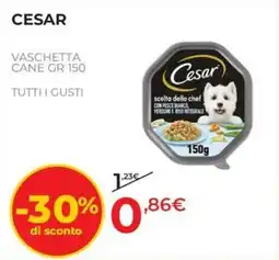 Arcaplanet Cesar vaschetta cane offerta