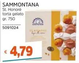 Stop&Shop Sammontana torta gelato St. Honorè offerta