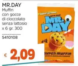 Stop&Shop Mr. Day muffin con gocce di cioccolato senza lattosio offerta