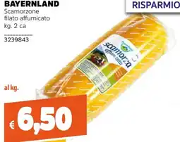 Stop&Shop Scamorza affumicata offerta