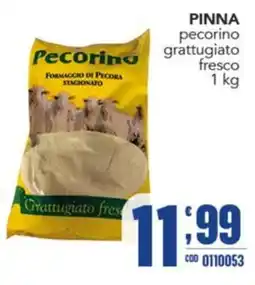 Gruppo di Palo Pinna pecorino grattugiato fresco offerta