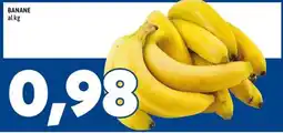 MEGA Banane offerta