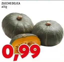 MEGA Zucche delica offerta