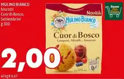 MEGA Mulino Bianco Cuor di Bosco offerta