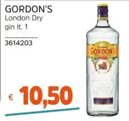 Stop&Shop Gordon's London Dry gin offerta