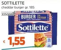 Stop&Shop Sottilette cheddar burger offerta
