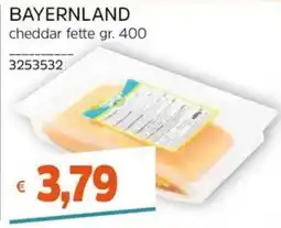 Stop&Shop Bavaria cheddar fette offerta