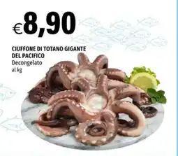 Hurrà Ciuffone di totano gigante del Pacifico offerta