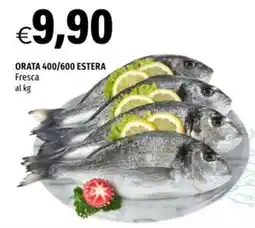 Hurrà Orata 400/600 estera offerta