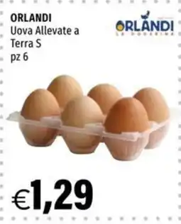 Hurrà Uova Allevate a Terra S Orlandi offerta