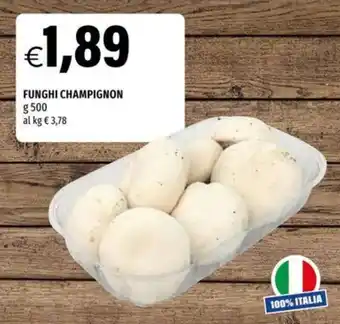 Funghi champignon