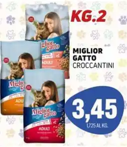 Emporio Amato Miglior gatto croccantini offerta