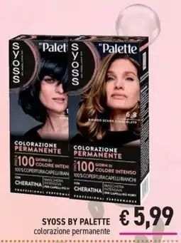 Determarket Syoss by Palette colorazione permanente offerta