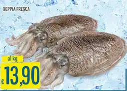 IperSisa Seppia fresca offerta
