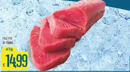 IperSisa Filetto di tonno offerta