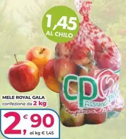 Alter Discount Mele Royal Gala offerta