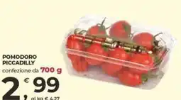 Alter Discount Pomodoro Piccadilly offerta