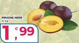 Alter Discount Prugne nere offerta