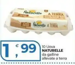 Alter Discount Uova Naturelle offerta