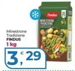 Alter Discount Minestrone Tradizione Findus offerta