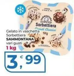 Alter Discount Gelato in vaschetta Sorbettiera Sammontana offerta