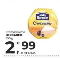 Alter Discount Cremosissimo Bergader offerta