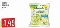 Sisa Iceberg Bonduelle offerta