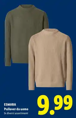 Lidl Esmara Pullover da uomo offerta
