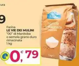 Alter Discount Farina LE VIE DEI MULINI offerta