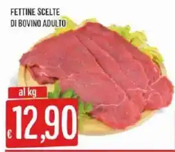Sisa Fettine scelte di bovino adulto offerta