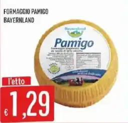Sisa Formaggio Pamigo Bayernland offerta