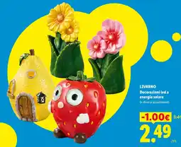 Lidl Decorazioni led a energia solare offerta