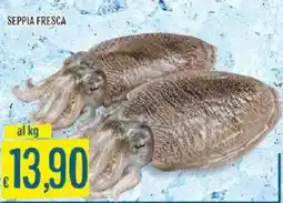 Sisa Seppia fresca offerta