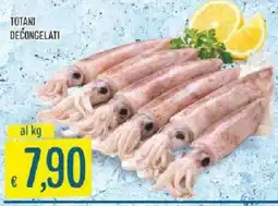 Sisa Totani decongelati offerta