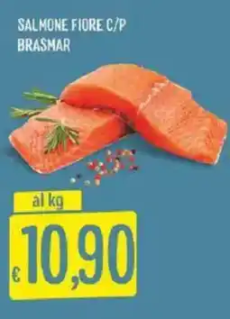 Sisa Salmone fiore c/p brasmar offerta