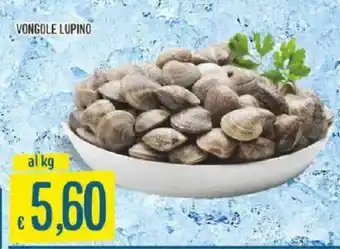 Vongole lupino