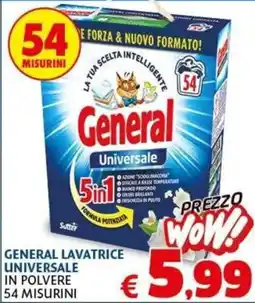Casa & Co General lavatrice universale in polvere offerta