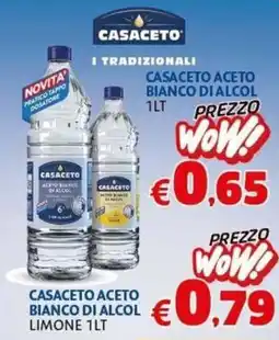 Casa & Co Casaceto Aceto Bianco di Alcol offerta