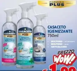 Casa & Co Casaceto igienizzante offerta
