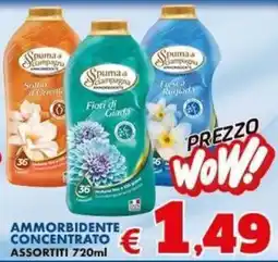 Casa & Co Spuma di campagna ammorbidente offerta