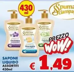 Casa & Co Spuma Sciampagna sapone liquido offerta