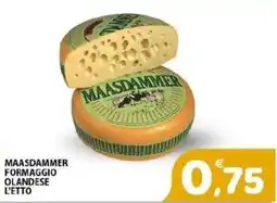 Il Centro Superstore Maasdammer formaggio olandese offerta