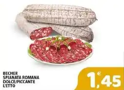 Il Centro Superstore Becher spianata romana offerta