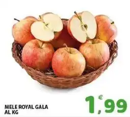 Il Centro Superstore Mele Royal Gala offerta